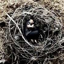 Into the Nest - Achraf Baznani