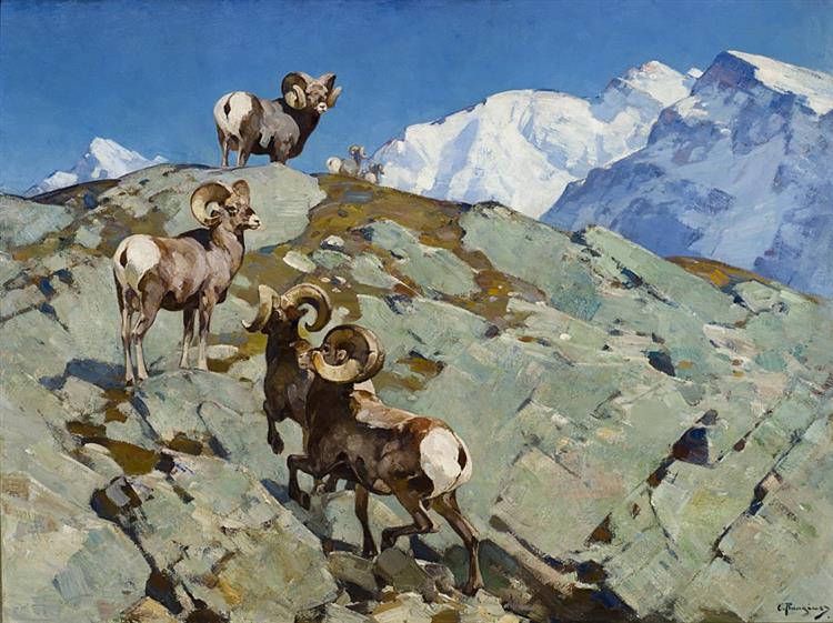 Alarmed (Big Horn Rocky Mountain Sheep) - Carl Rungius