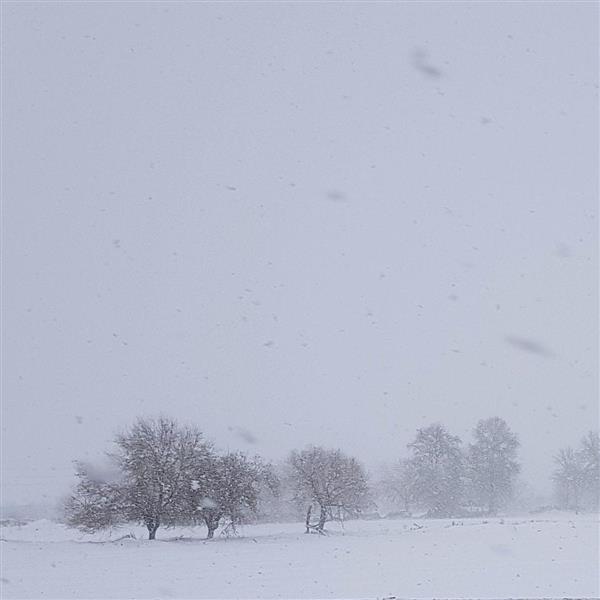 These snowy days, 2018 - Esmaeil Rezaei
