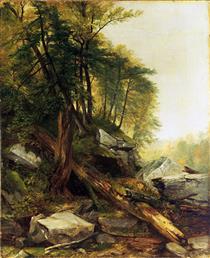 Kaaterskill Landscape - Asher Brown Durand