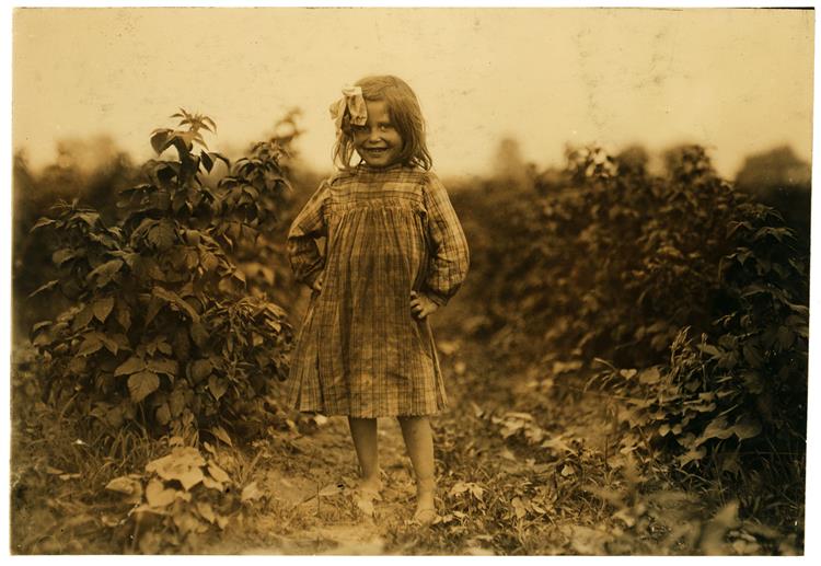 Laura Petty, a 6 Year Old Berry Picker on Jenkins Farm, Rock Creek, Maryland, 1909, 1909 - Lewis Wickes Hine