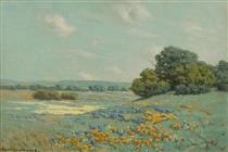 California Poppy Field - Granville Redmond