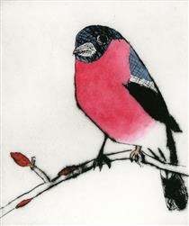 Spring Bullfinch - Richard Spare
