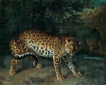 Leopardess - Jean-Baptiste Oudry