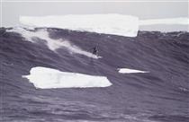 Untitled (Surfer) - Julian Schnabel