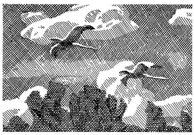 Illustration for the collection of short stories by Yevhen Gutsal "In the stork village", 1969 - Hryhorii Havrylenko
