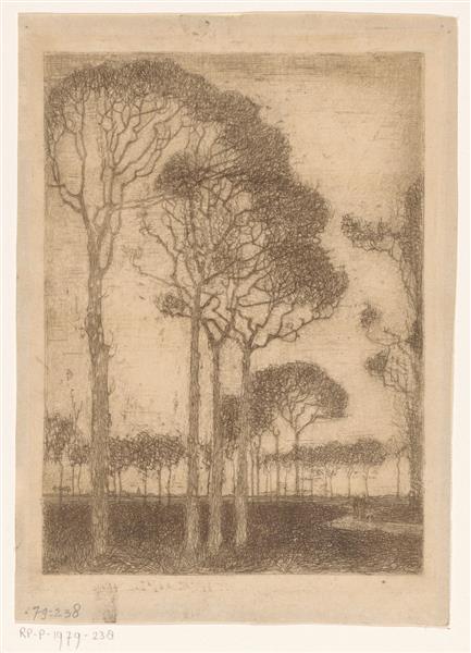 Trees on the edge of the Oranjewoud, 1914 - 1915 - Jan Mankes