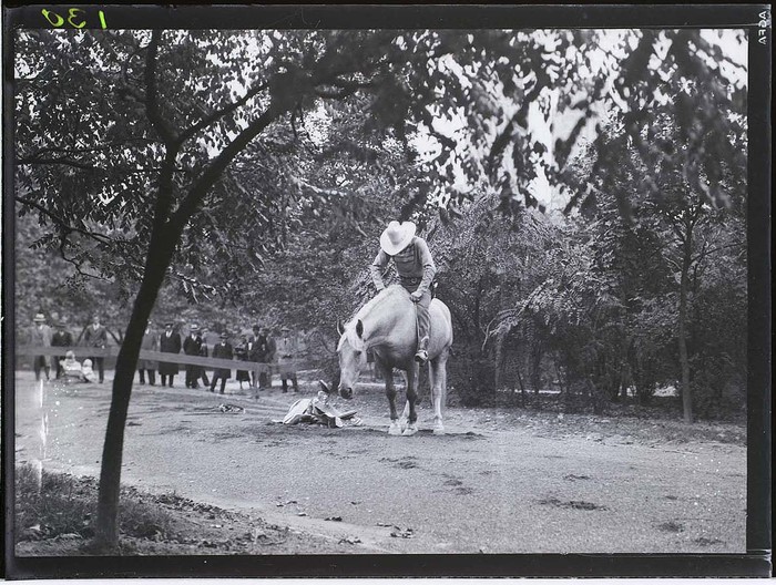 Buck the Fairy-Tale Horse, New York, 1934 - Martin Munkácsi