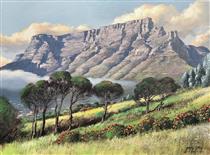 Table Mountain from Signal Hill - DinksFãStan Private Collection - James Yates