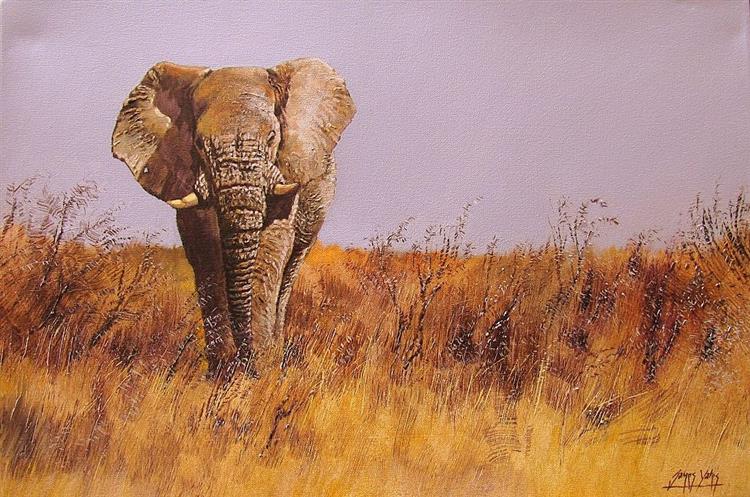 African Elephant - James Yates