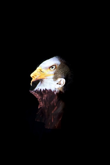 Eagle, 2010 - Meryl McMaster
