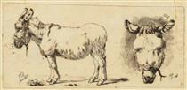A donkey, plagued by flies and a donkey's head seen from the front - Johan Thomas Lundbye