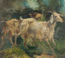 Goats - Vincenzo Caprile