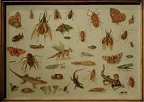 Insects and Reptiles - Jan van Kessel the Elder