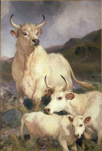 The Wild Cattle of Chillingham - Edwin Henry Landseer