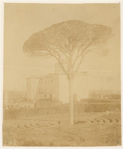 Tree in formal garden outside a palace in Rome, 1860 - 1865 - Giacomo Caneva