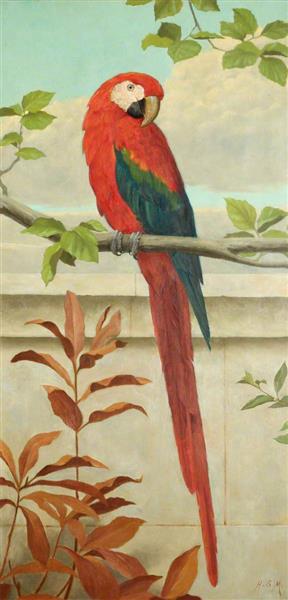 Red and Blue Macaw - Henry Stacy-Marks