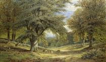 Deer on a shaded woodland path - Alfred Augustus Glendening, Sr.