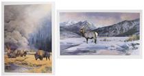 New Beginnings," bison and a forest fire; elk and swans in winter - Bonnie Maris