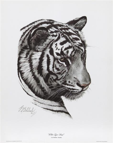 White Tiger Head - Guy Joseph Coheleach