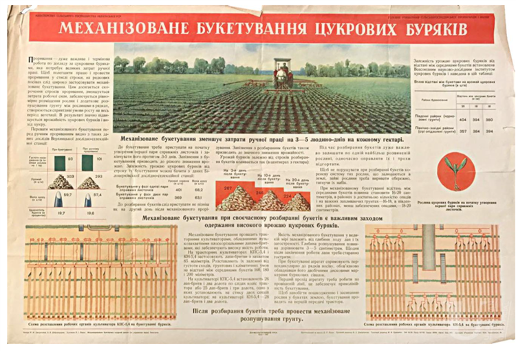 Mechanized Bunching of Sugar Beets, 1955 - Valerii Lamakh