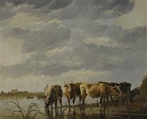Cattle Watering by an Estuary - Albert Jacob Cuyp