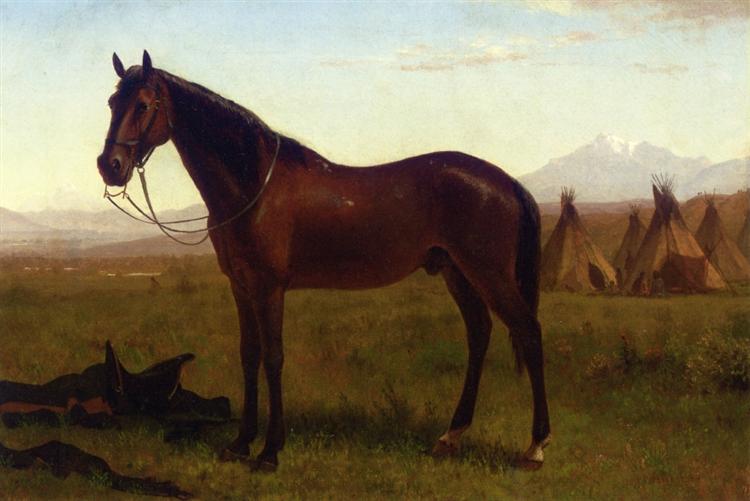 Portrait of a Horse, 1860 - 1869 - Альберт Бирштадт