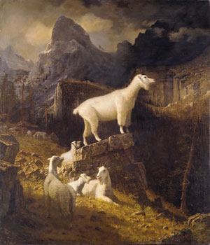Rocky Mountain Goats, 1885 - Альберт Бирштадт