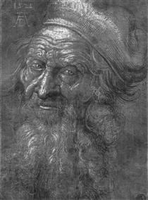 Head of an old man - Albrecht Durer