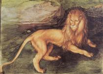 Lion - Albrecht Dürer