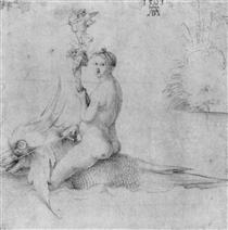 Venus on a dolphin - Альбрехт Дюрер