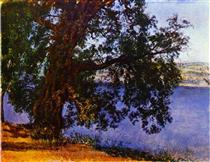 A Tree over Water in the Vicinity of Castel Gandolfo - Alexander Andreyevich Ivanov