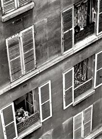 Revisión bueno escalera mecánica André Kertész - 17 obras de arte - fotografía
