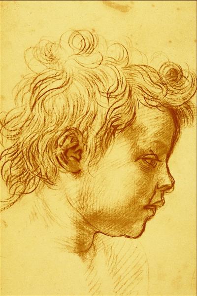 Head of a Child - Андреа дель Сарто