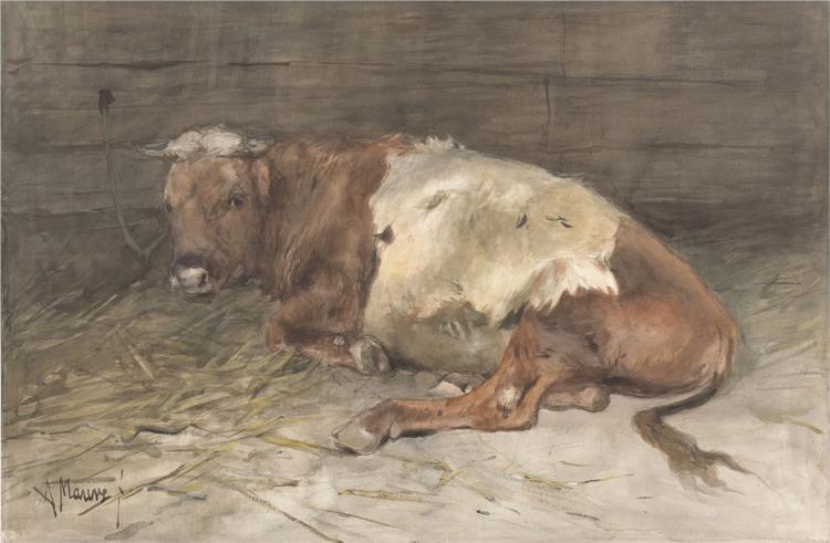 Liggende jonge stier - Anton Mauve