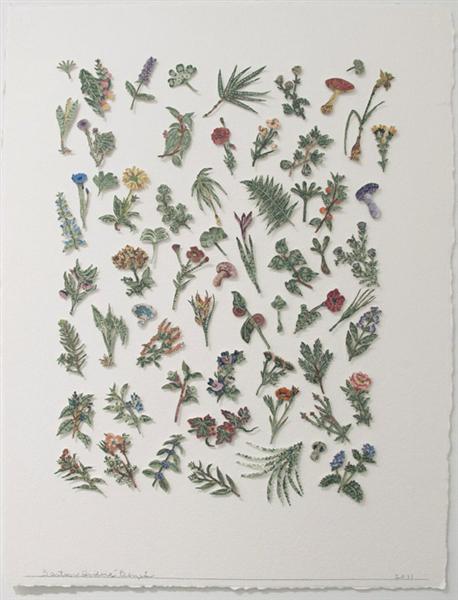 Botanica (Flowers), 2011 - Бартон Лидис Бенеш
