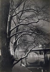 Les arbres des quais avec le Pont-Neuf - Brassai