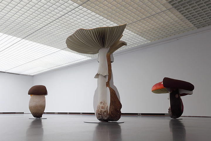 Giant Triple Mushrooms, 2009 - Carsten Holler