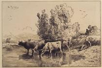 Cows - Charles Jacque