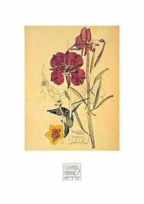 Flowers - Charles Rennie Mackintosh