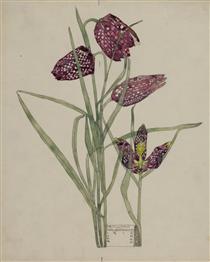 Fritillaria - 查爾斯·雷尼·麥金托什