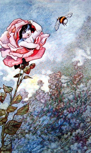 Child Hiding in Rose, 1913 - Charles Robinson