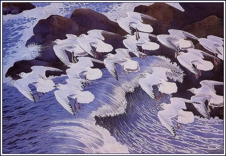 Black-headed Gulls - Чарльз Танниклифф