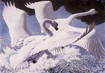 The Rivals - Charles Tunnicliffe