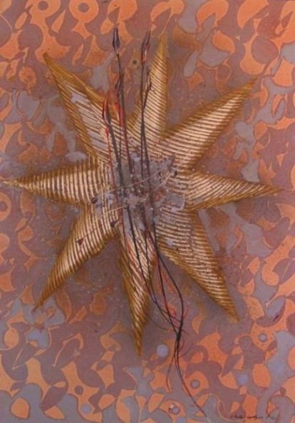 Starfish - Christo Coetzee