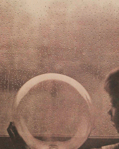 Drops of Rain, 1903 - Clarence White