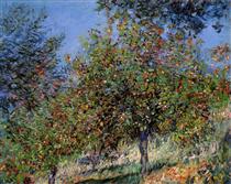 Apple Trees on the Chantemesle Hill - Claude Monet