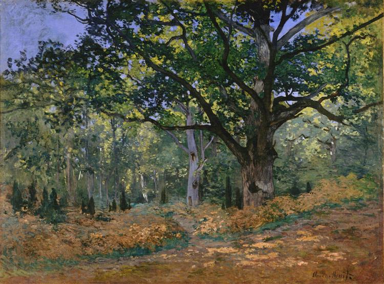 The Bodmer Oak, Fontainebleau, 1865 - Клод Моне