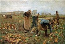The Beet Harvest - Émile Claus
