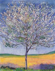 Cherry Tree in Bloom - Ferdinand Hodler